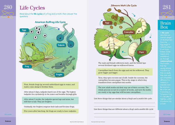 Brain Quest Workbook: Grade 5