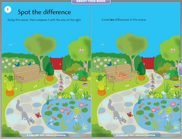 Usborne Activity and Puzzle Book