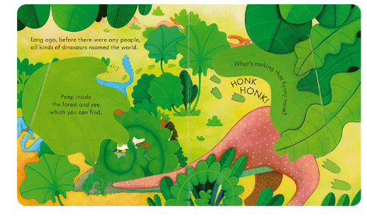 Usborne Peep Inside - Lift the Flap Books