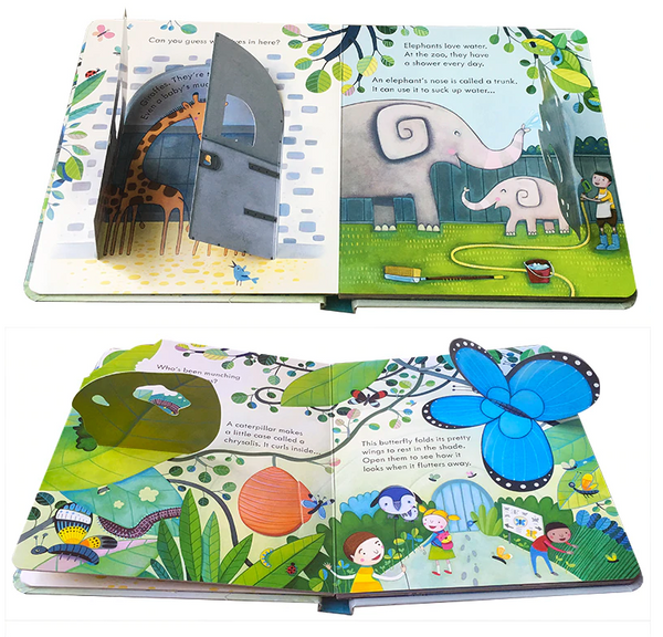 Usborne Peep Inside - Lift the Flap Books