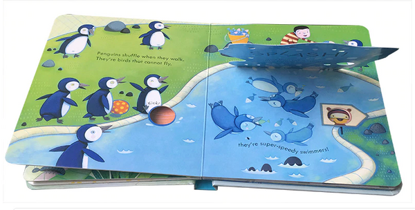 Usborne Peep Inside - Lift the Flap Books