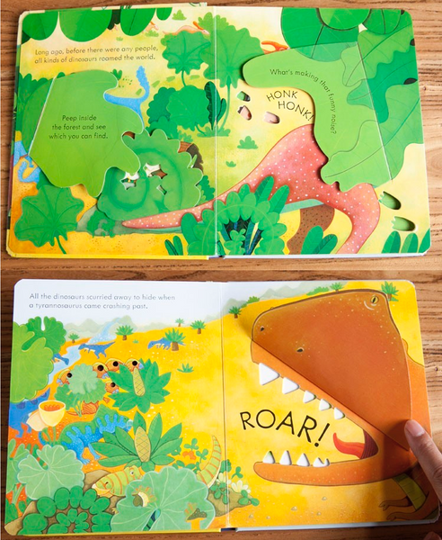 Usborne Peep Inside - Lift the Flap Books