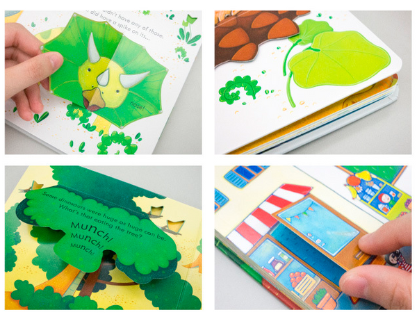 Usborne Peep Inside - Lift the Flap Books