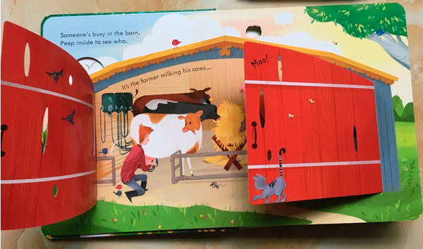 Usborne Peep Inside - Lift the Flap Books