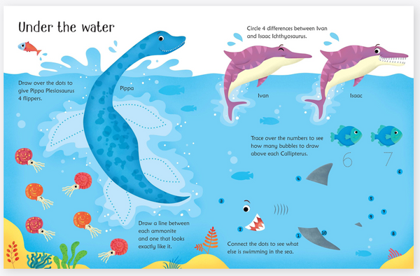 Usborne Wipe-Clean Activity Books with Erasable Marker