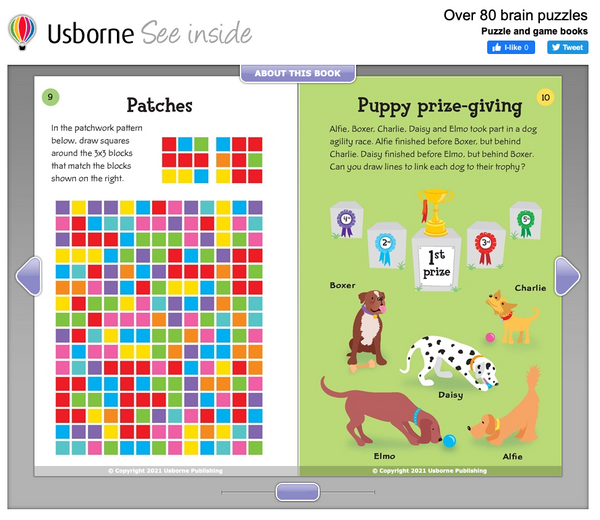 Usborne Activity and Puzzle Book