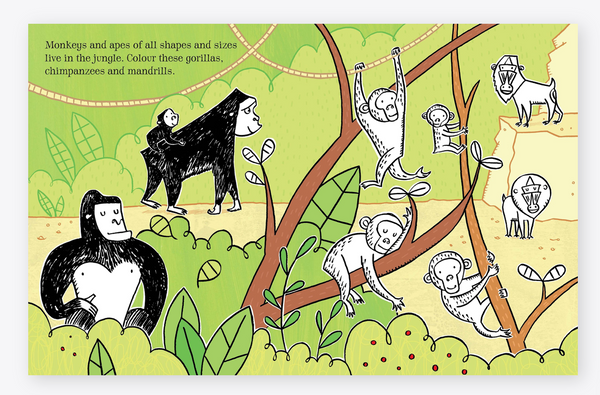 Usborne Colouring Book with Stickers