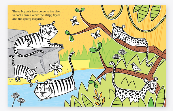 Usborne Colouring Book with Stickers