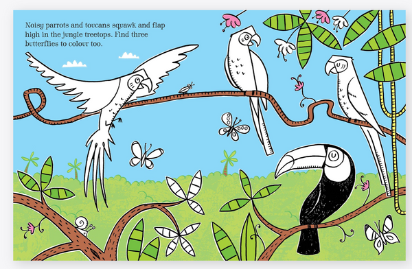 Usborne Colouring Book with Stickers