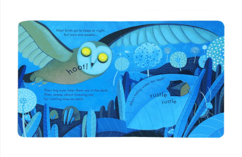 Usborne Peep Inside - Lift the Flap Books