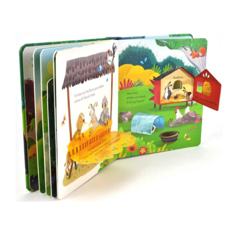 Usborne Peep Inside - Lift the Flap Books