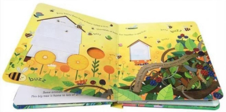 Usborne Peep Inside - Lift the Flap Books
