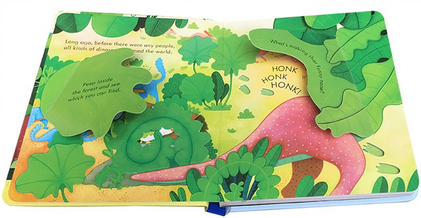 Usborne Peep Inside - Lift the Flap Books