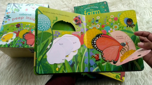 Usborne Peep Inside - Lift the Flap Books