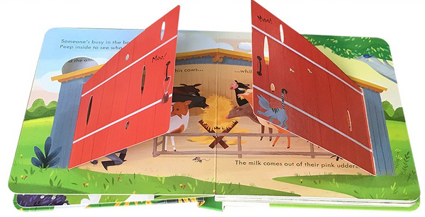 Usborne Peep Inside - Lift the Flap Books
