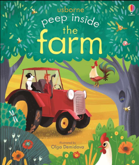Usborne Peep Inside - Lift the Flap Books