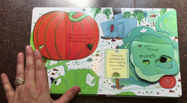 Usborne Peep Inside - Lift the Flap Books