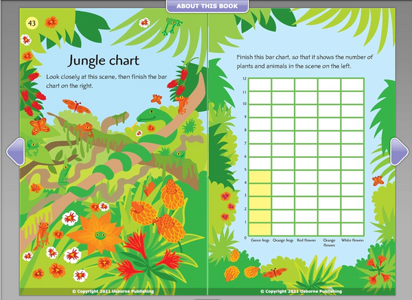 Usborne Activity and Puzzle Book