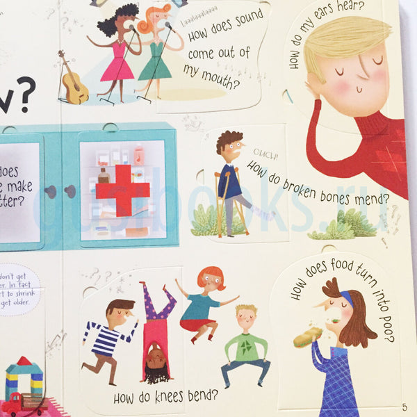 Lift-the-Flap Questions and Answers about your Body