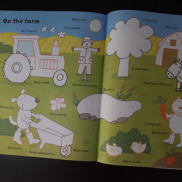 Usborne Colouring Book with Stickers