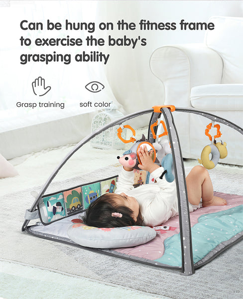 Crib Toys Set Colored Hanging Toys & Soft Cloth Books