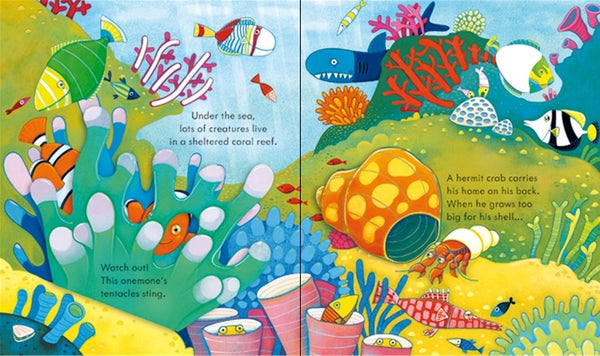 Usborne Peep Inside - Lift the Flap Books