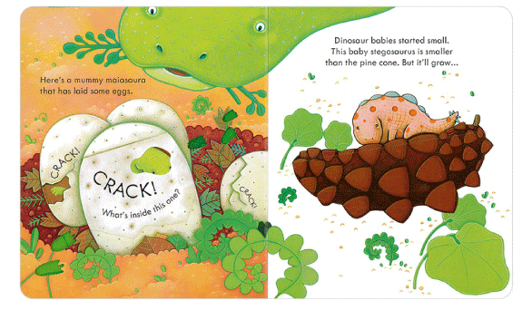 Usborne Peep Inside - Lift the Flap Books