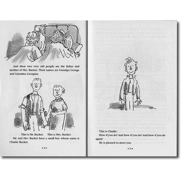 Roald Dahl Collection Books 16 in a Set