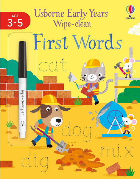 Usborne Wipe-Clean Activity Books with Erasable Marker