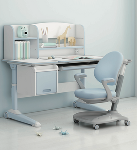 Ergonomic Desks & Chairs