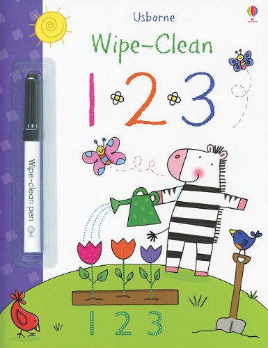 Usborne Wipe-Clean Activity Books with Erasable Marker
