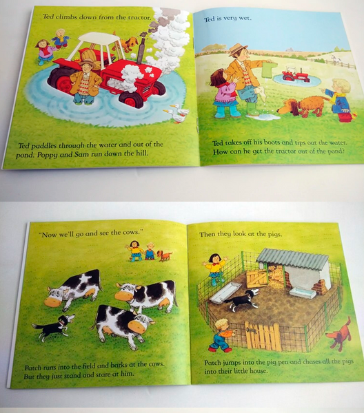 Usborne First Experiences & Farmyard Tales- 20 Books