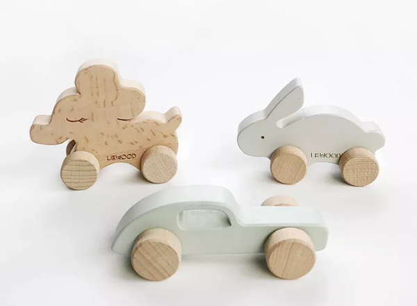Wooden Push Montessori Toy