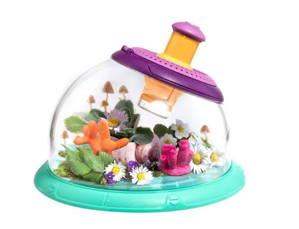Multifunctional Observation Bucket for Insects, Plants or Aquarium