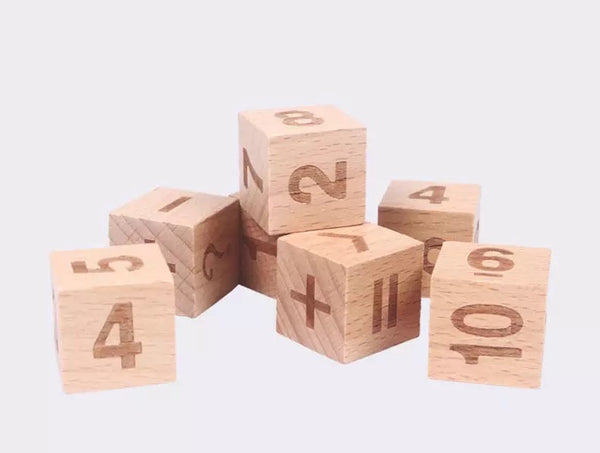 Wooden Math Activity Blocks