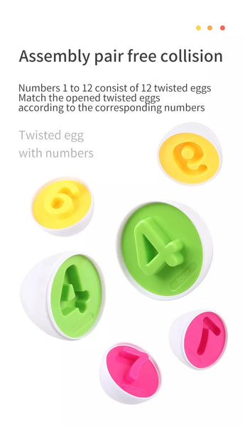 Number Eggs Matching & Sorting