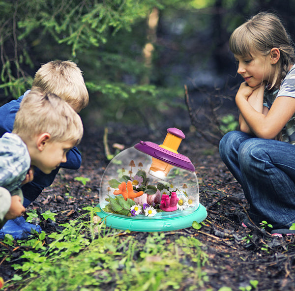 Multifunctional Observation Bucket for Insects, Plants or Aquarium