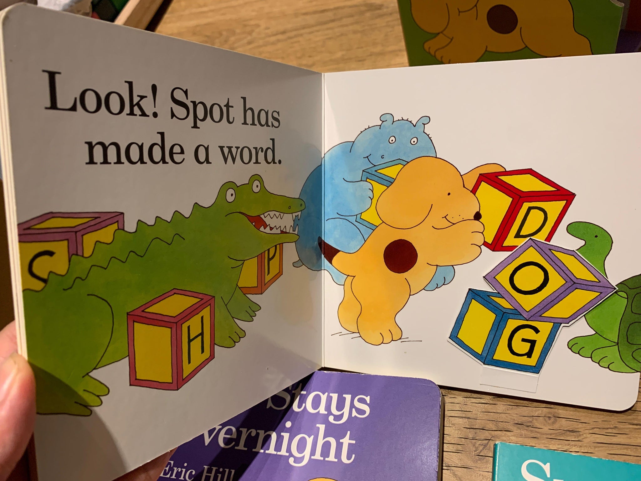 Spot's Library of Fun - 5 in a Set - A Lift the Flap Book