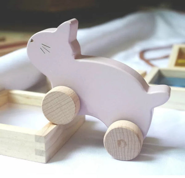 Wooden Push Montessori Toy